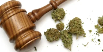 impact of smoking pot on divorce