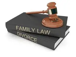 Contesting Parenting Plan